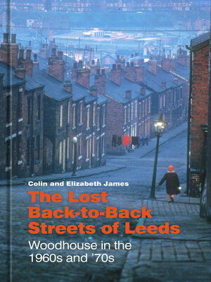 cover image of The Lost Back-to-Back Streets of Leeds